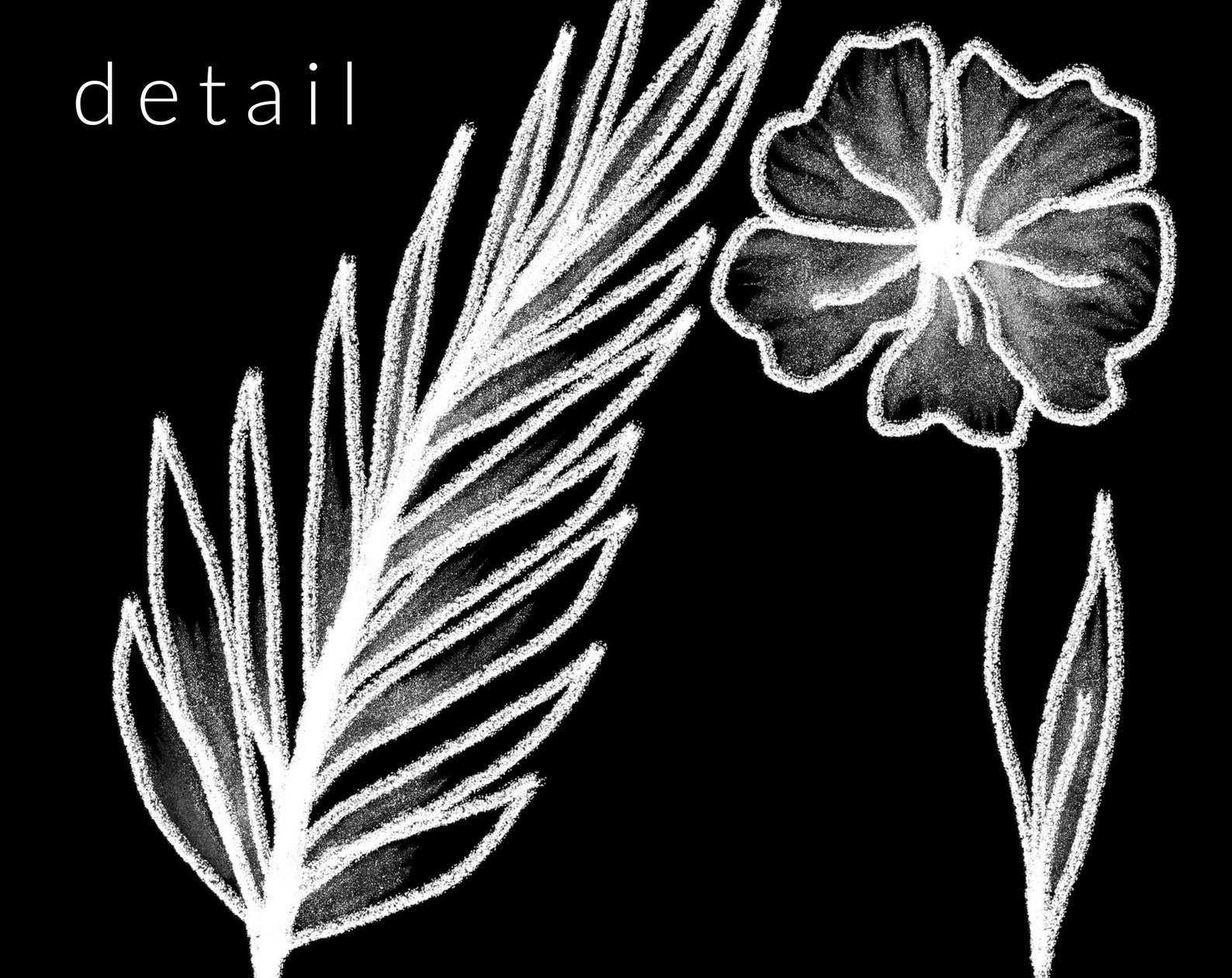 22 PNG White Chalk Drawn Flowers Clip Art Chalk Design Etsy