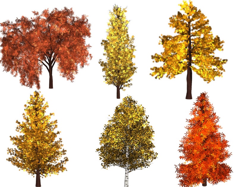 May include: Six different trees with fall foliage in various shades of orange, yellow, and red. The trees are isolated on a white background.