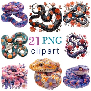 Op de afbeelding: Een verzameling van negen aquarel illustraties van slangen, elk met unieke patronen en kleuren, versierd met bloemelementen. De tekst "21 PNG clipart" wordt weergegeven in teal en roze. De slangen variëren in kleur, waaronder blauw, oranje en zwart.