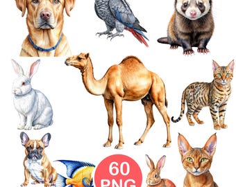 Domestic Pet Clipart PNG, Watercolor Animal & Bird Sublimation Art, Realistic Animals