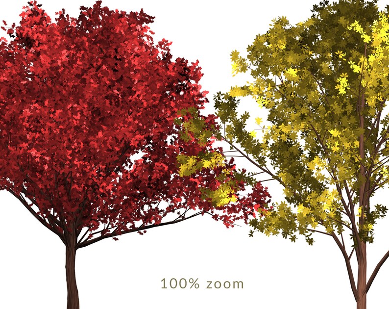 May include: Two trees with fall foliage. One tree has red leaves and the other has yellow leaves.