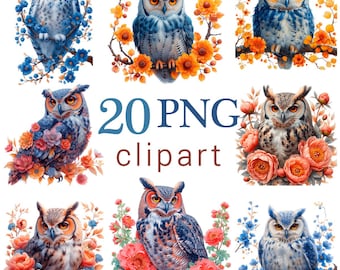 Floral Owl Clipart PNG Bundle: Commercial Use, Digital Files