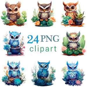 24 PNG süße Eulen Clipart Bundle, Sukkulenten & Eulen Clipart, Sublimation, Scrapbook, kommerzielle Nutzung, transparenter Hintergrund, druckbare Clip Art