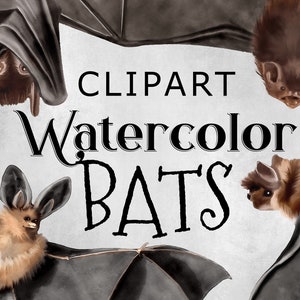 14 PNG Akwarela Nietoperze, Straszne Nietoperze Clipart, Latający Nietoperz, Wiszący Nietoperz, Ilustracja, Grafika Halloween, Elementy Projektu, Natychmiastowe Pobieranie