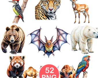 Realistic Wild Animals Clipart PNG, Woodland Wildlife Watercolor Animal Set, Forest Animal Sublimation Design, Wild Nature, Digital Download