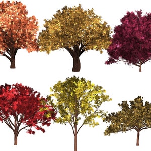May include: Six trees with different colored leaves. The trees are isolated on a white background. The trees are in shades of red, orange, yellow, and brown.