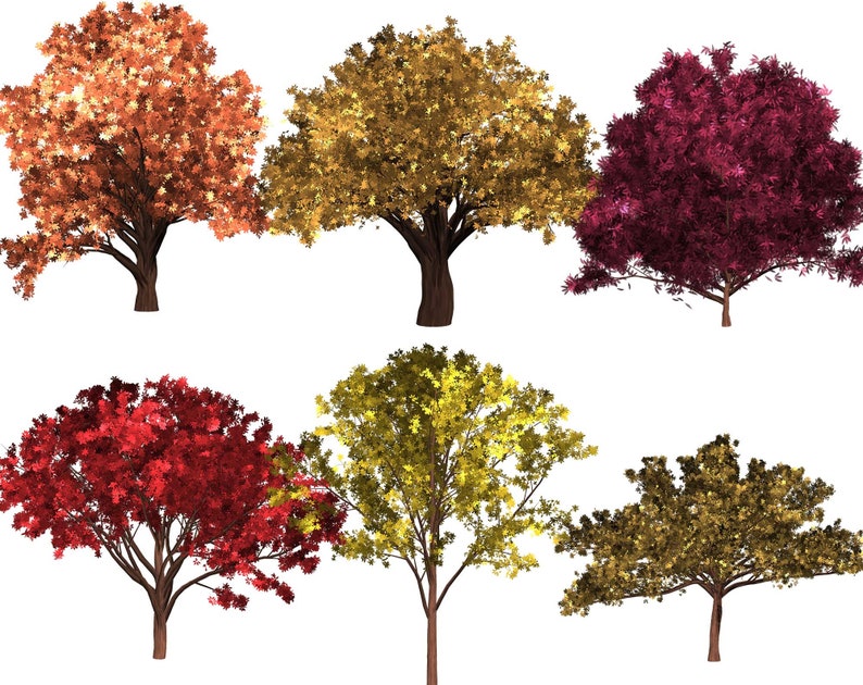 May include: Six trees with different colored leaves. The trees are isolated on a white background. The trees are in shades of red, orange, yellow, and brown.