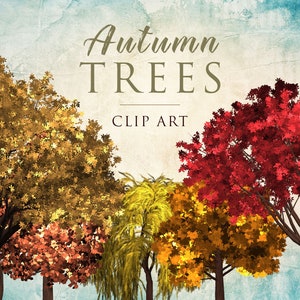 22 PNG Digital Autumn Trees, Clip Art Collection with Transparent Background, Design elements, Instant download