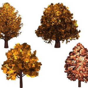 May include: Four trees with brown trunks and yellow and orange leaves. The trees are isolated on a white background.