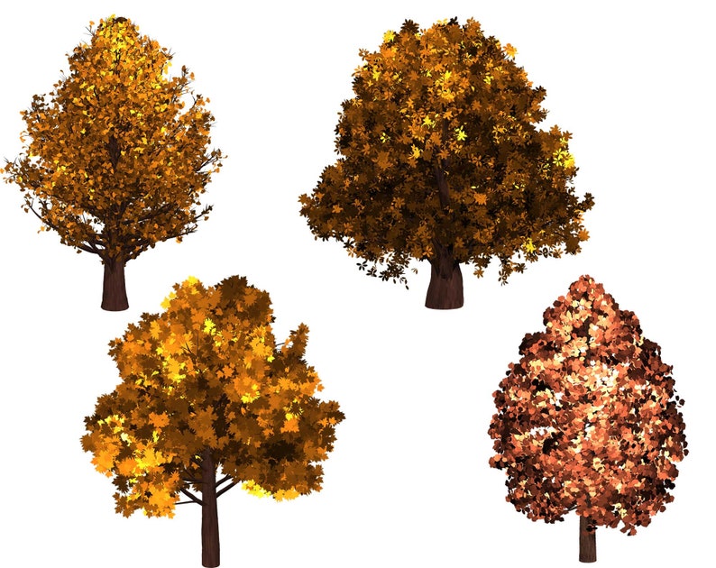 May include: Four trees with brown trunks and yellow and orange leaves. The trees are isolated on a white background.