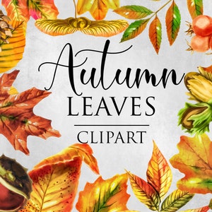 28 PNG Autumn Leaves, ClipArt Collection, Watercolor Fall Leaves, Fall Clipart, Design elements, Instant download