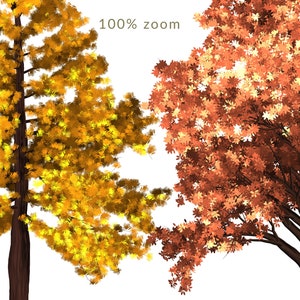May include: Two trees with fall foliage. The tree on the left has yellow leaves and the tree on the right has orange leaves.  100% zoom.