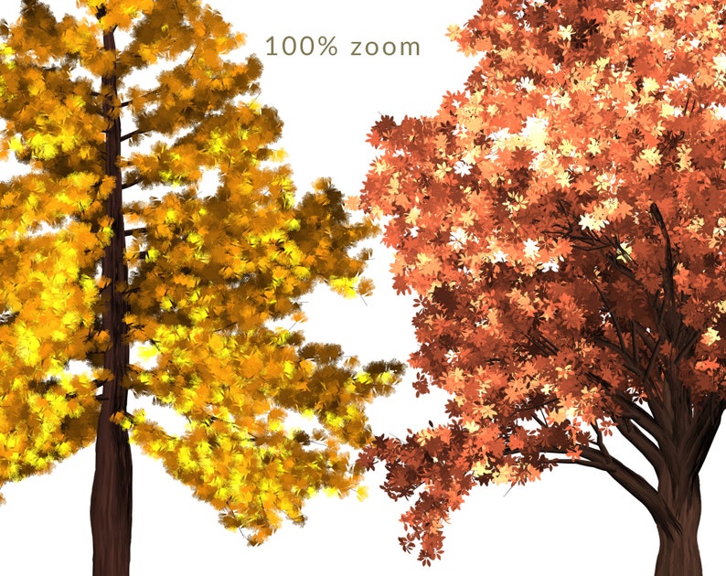 May include: Two trees with fall foliage. The tree on the left has yellow leaves and the tree on the right has orange leaves.  100% zoom.