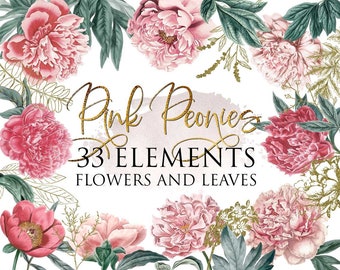 33 PNG, set di clipart di peonie, peonie rosa cipria, clipart di peonie, download istantaneo, elementi floreali, uso commerciale, sfondo trasparente