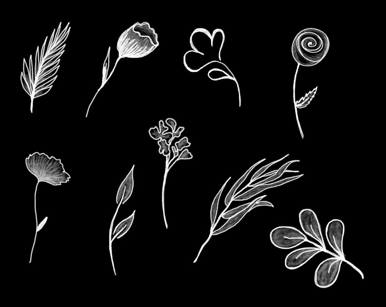 22 PNG White Chalk Drawn Flowers Clip Art Chalk Design Etsy