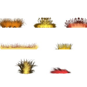 May include: A collection of seven different types of grass, each with a unique color and texture. The grass is arranged in a row, with the tallest grass on the left and the shortest grass on the right. The grass is a light brown, yellow, and red color.