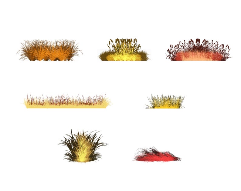 May include: A collection of seven different types of grass, each with a unique color and texture. The grass is arranged in a row, with the tallest grass on the left and the shortest grass on the right. The grass is a light brown, yellow, and red color.