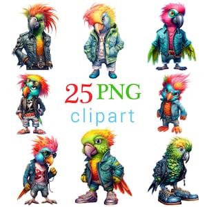 25 PNG Punk Parrot Clipart, Colorful Parrot Birds, Dressed Rocker Parrots Digital Download, Kids Party Clipart, Commercial use, Printable
