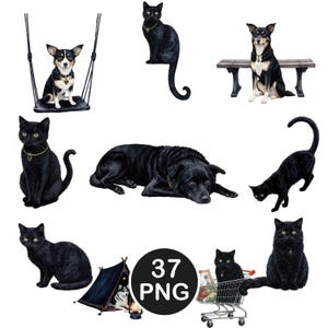 May include: A collection of watercolor illustrations featuring various black cats and dogs in different poses. One dog is on a swing, another on a bench. The cats are shown sitting, playing, and in a shopping cart. The image includes a "37 PNG" graphic.