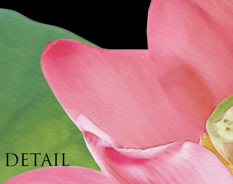 Pu&ograve; includere: Primo piano di un petalo di fiore di loto rosa con una foglia verde sullo sfondo. Il petalo &egrave; morbido e delicato, con una texture sottile. La foglia verde &egrave; di un verde vibrante, fornendo uno sfondo contrastante al petalo rosa.