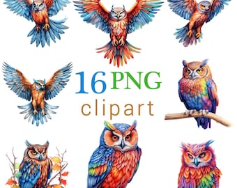 Rainbow Owl Clipart PNG Bundle: Boho Digital Art, Commercial Use