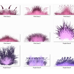 May include: Nine digital illustrations of pink and purple grass. The grass is arranged in a grid of three rows and three columns. Each image is labeled with the color and number of the grass.