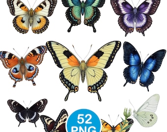 Butterfly Clipart, Realistic Butterflies PNG, Nature Butterfly Graphics, Digital Download