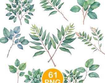 Greenery Clipart, Watercolor Eucalyptus PNG, Botanical Leaf Sprigs, Digital Download