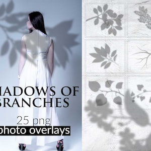 25 png schaduwen van takken overlays, illustraties met transparante achtergrond, plant schaduwen overlay clipart, foto-overlays, instant download