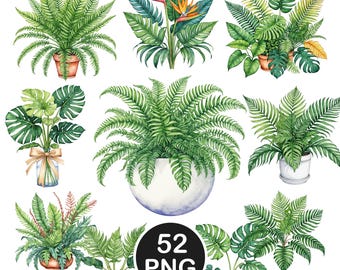 Tropical Plant Clipart, Watercolor Tropical Leaves PNG, Houseplant Graphics, Digital Download