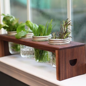 Herb Garden Walnut Planter+ 8oz Mason Jars. Grow your own Herbs! Beautiful on Window Sill.