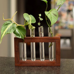 Plant propagation station with four glass tubes. Walnut wood hanging plant succulent display. Hydroponic water plant stand. Gardener gift!