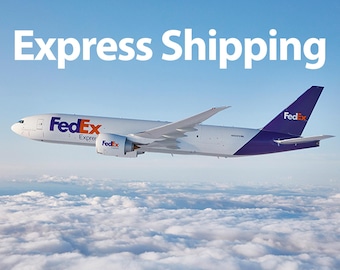 Express Shipping to US
