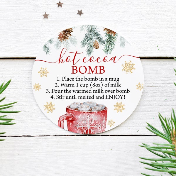 Hot Chocolate Bomb Tags, Hot Cocoa Bomb Instructions Favor Tag Hot Chocolate Bomb Stickers Cookies and Cocoa Christmas You're The Bomb 0137