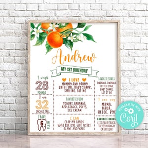 Editable Little Cutie Milestone Cumpleaños Cartel Naranja Primer Cumpleaños Signo Naranja Cumpleaños Cartel Estadísticas Junta Cutie Primer Año Cartel 0147