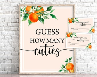Orange Baby Shower Game Sign: Guess How Many (Digital Download)