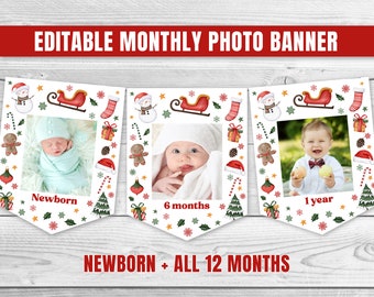 Editable Christmas Birthday Party Banner Winter Onederland Birthday Banner Christmas Monthly Photo Banner Winter Wonderland Party 0210