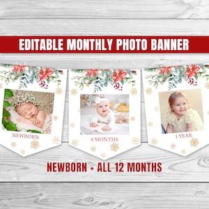 Editable Winter Onederland Birthday Banner Christmas Monthly Photo Banner Winter Wonderland Gender Neutral Photo Banner Party Decor 0132