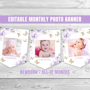 Editable Butterfly Birthday Monthly Photo Banner Purple Gold Butterfly 1st Birthday Monthly Banner Floral Butterfly Birthday Banner 0164