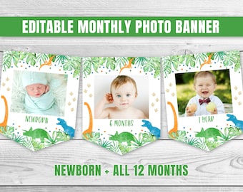 Editable Dinosaur Monthly Photo Banner, T-Rex Party Decor (Digital Download)