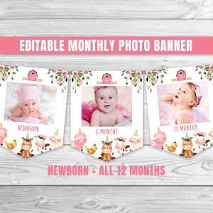 Editable Farm Birthday Banner Monthly Photo Banner Farm Animal Garland Barnyard Pink Girl Photo Banner Pink Farm Party Decor 0106
