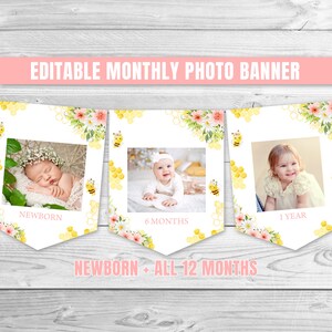 Editable Bee Birthday Monthly Photo Banner Honey Bee 1st Birthday Monthly Banner So Sweet To Bee One Party Bumble Bee Birthday Banner 0148
