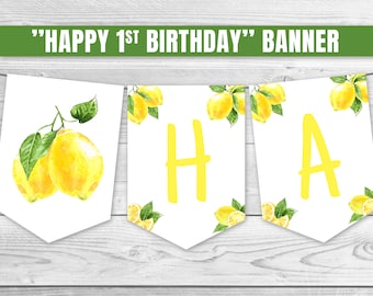 Lemon Happy Birthday Banner, Lemon Birthday Banner, Lemon Birthday Decoration, Citrus 1st Birthday Garland, Lemonade Birthday Banner 0121