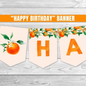 Little Cutie Happy Birthday Banner Orange Birthday Banner Cutie Birthday Decoration Citrus Birthday Garland Citrus Birthday Banner 0147