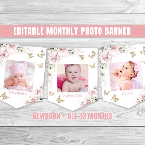Editable Butterfly Birthday Monthly Photo Banner Pink Gold Butterfly 1st Birthday Monthly Banner Blush Floral Butterfly Birthday Banner 0162