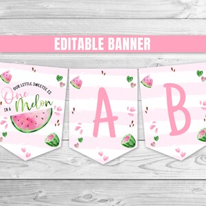 Editable Watermelon Birthday Banner One in a Melon Birthday Banner Pink Watermelon Birthday Decoration Watermelon 1st Birthday Garland 0118