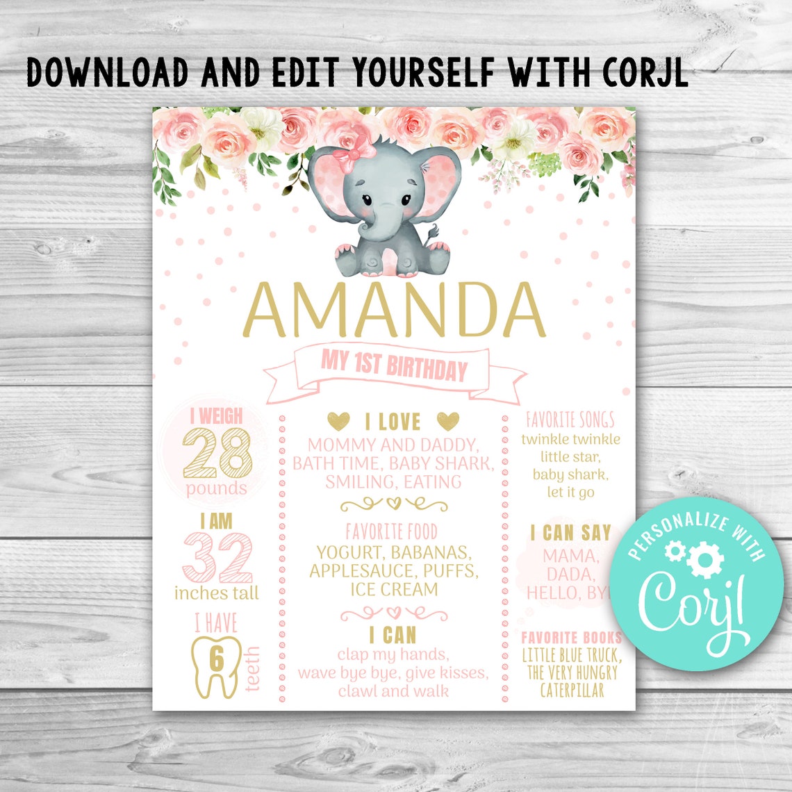 Editable Pink Elephant Milestone Birthday Poster Blush Floral - Etsy