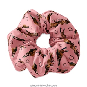 May include: Pink scrunchie with a repeating pattern of brown horses and silver horseshoes.