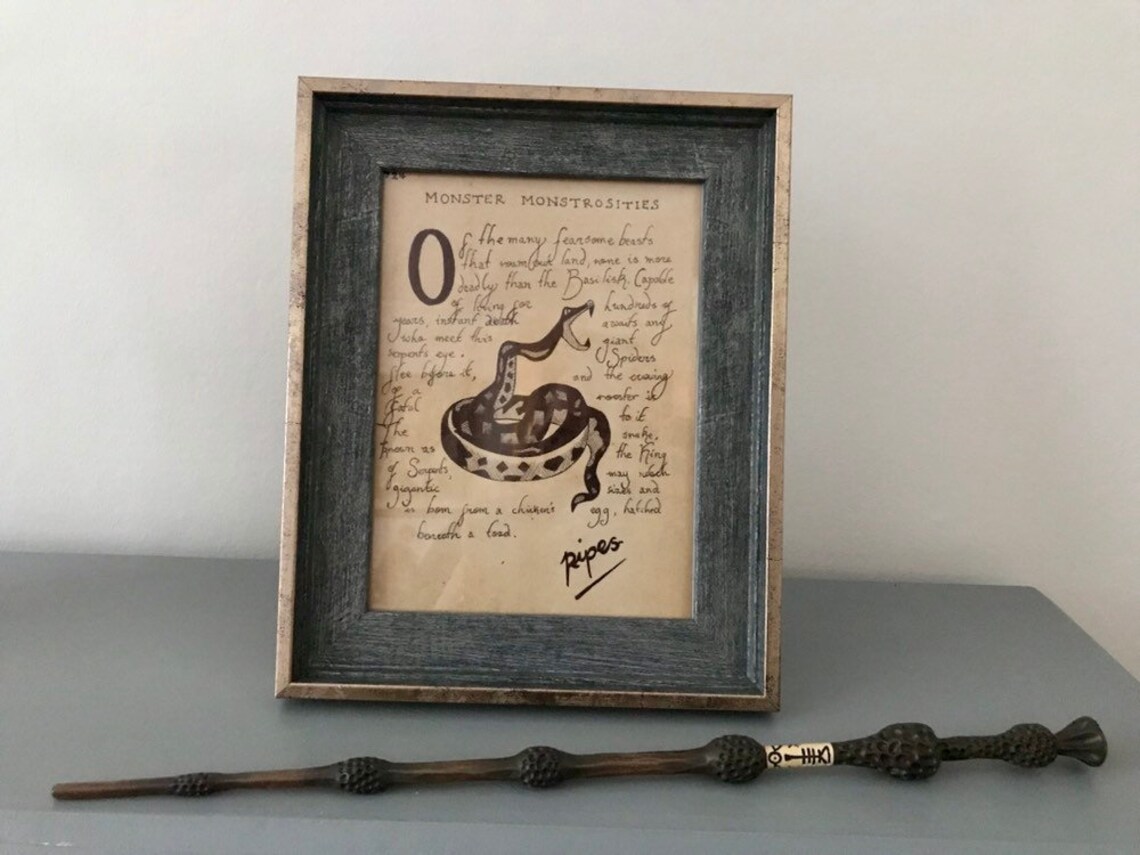 Harry Potter Chamber of Secrets Book extract | Etsy