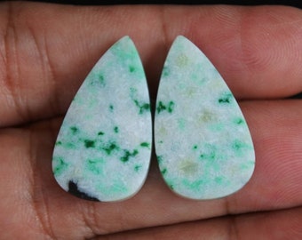Multicolor opalized petrified wood pair